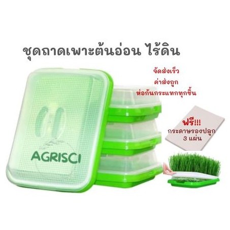 ถาดเพาะต้นอ่อนไร้ดิน ถาดเพาะผักไมโครกรีน เมล็ดผักต้นอ่อนไมโครกรีน Microgreen tray ถาดปลูกผัก