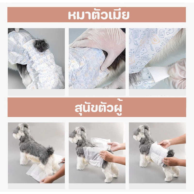 ผ้าอ้อมสุนัขใช้แล้วทิ้ง ตัวผู้-ตัวเมีย ดูดซับดี ไม่รั่ว thumbnail 10