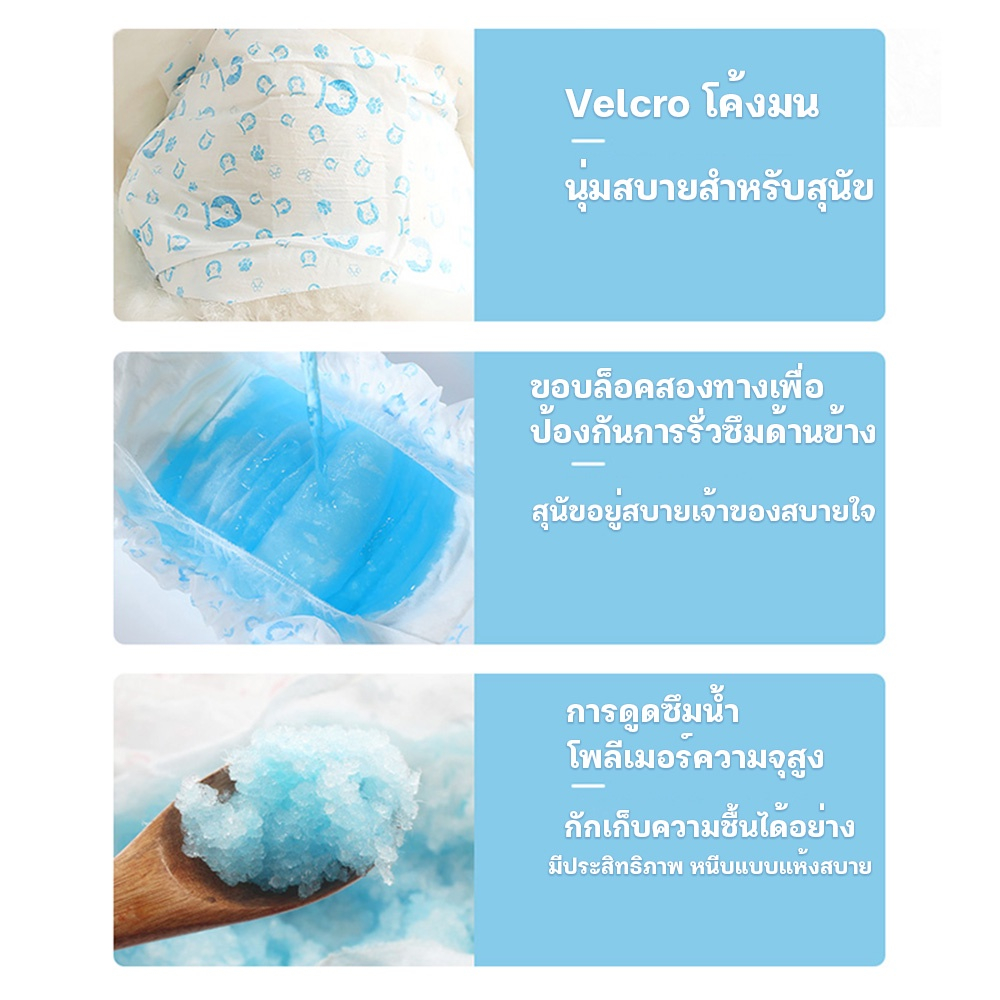 รูปภาพ 6