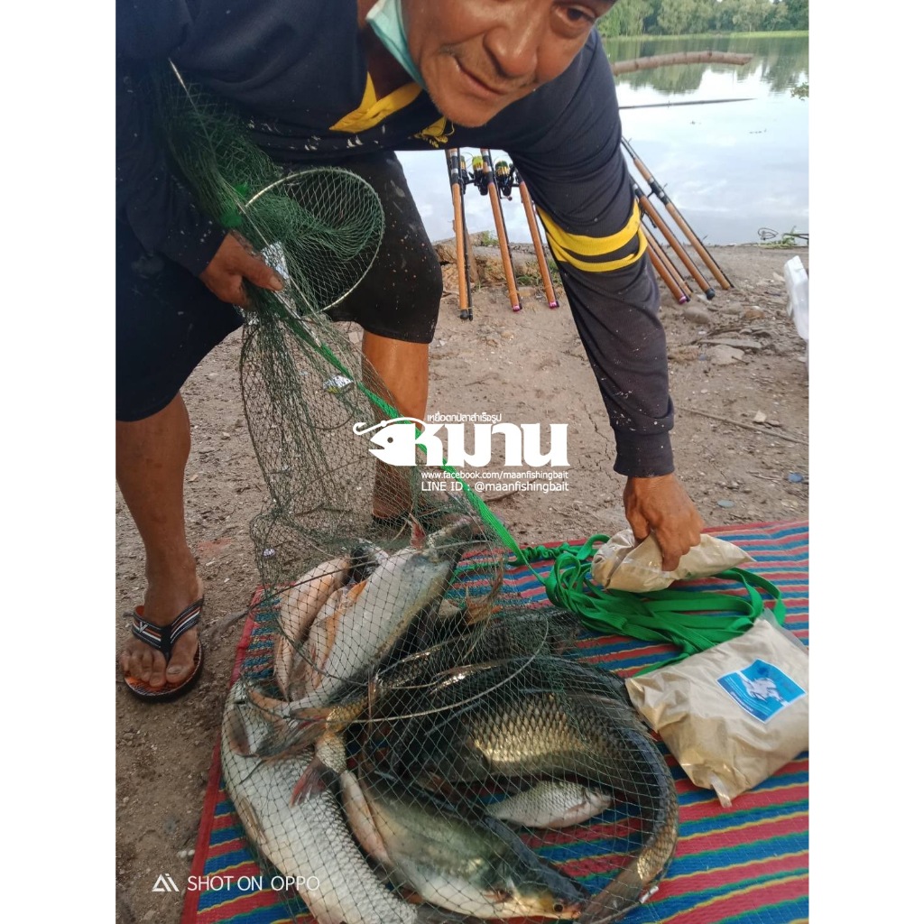 เหยื่อตกปลา เหยื่อหมาน | สูตรปลารวม 1 กก. | ผสมเสร็จ ตกได้ทันที | ปั้นง่าย ปลาเข้าไว | รีวิว 10k+ - รูปที่ 6