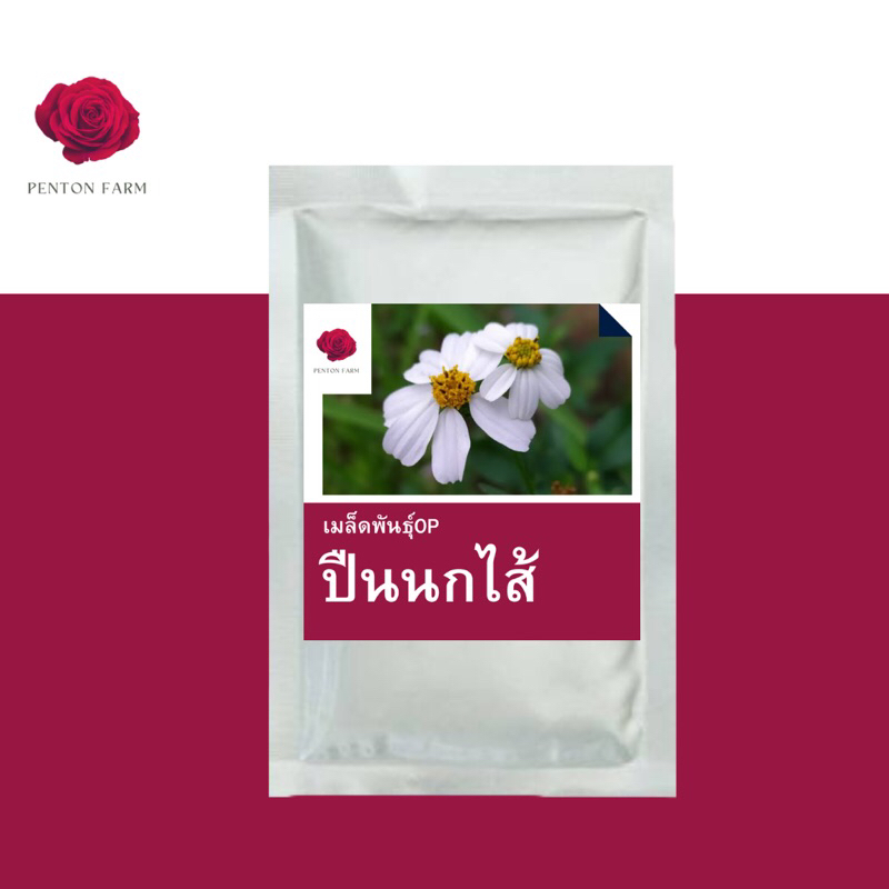 เมล็ดพันธุ์ปืนนกไส้ 2,000 เมล็ด เมล็ดพันธุ์ใหม่ คัดพิเศษ มาตราฐานOP