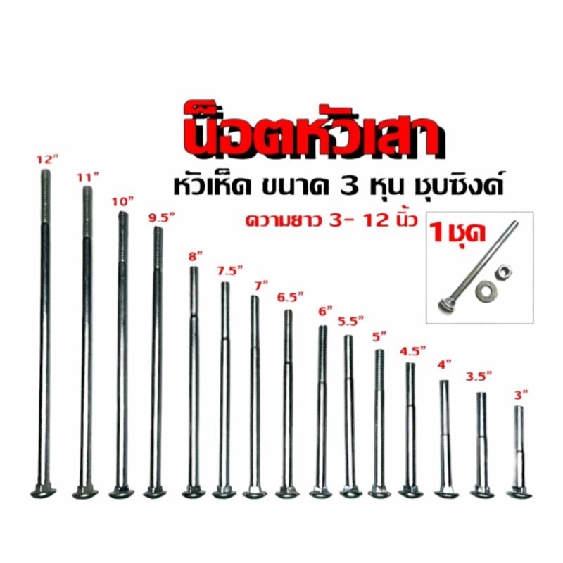 น็อตจับเสา เสาคอนกรีต เสาไม้ เสาไฟฟ้า โบลท์หัวเห็ด ยาว 3-12นิ้ว ขนาด3หุน  พร้อมแหวน – โปรปัง