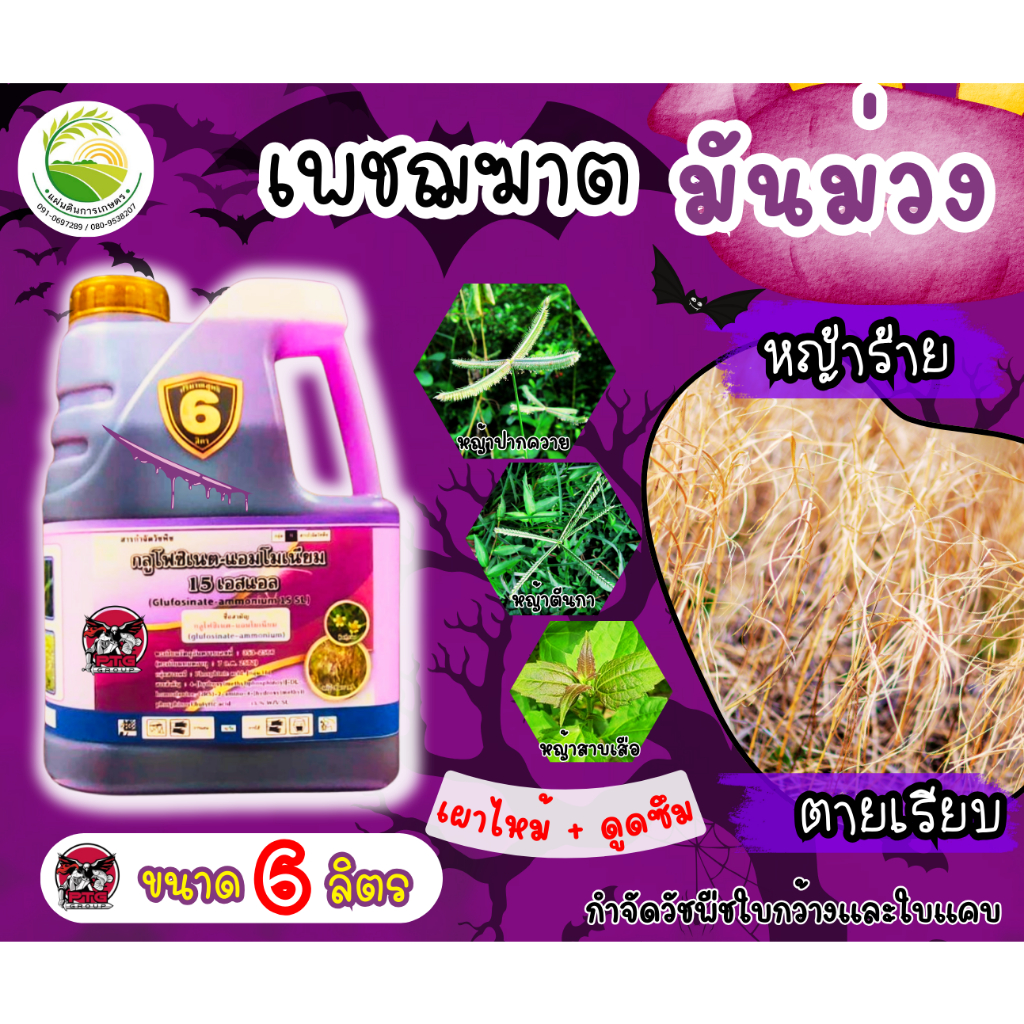 กลูโฟซิเนต-แอมโมเนียม (น้ำม่วง ) ขนาด 6 ลิตร จุใจใหญ่กว่าเดิม สุดคุ้ม