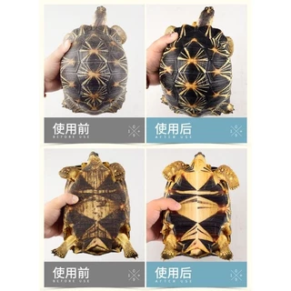 (พร้อมส่ง)แชมพูอาบน้ำสำหรับสัตว์เลื้อยคลาน