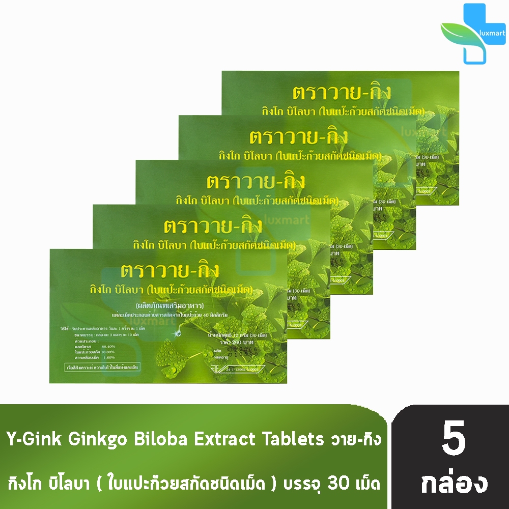 Y-Gink Ginkgo Biloba วาย กิง กิงโก บิโลบา ใบแป๊ะก๊วยสกัด 30 เม็ด [5 กล่อง] G0042 เสริมสร้างความจำ