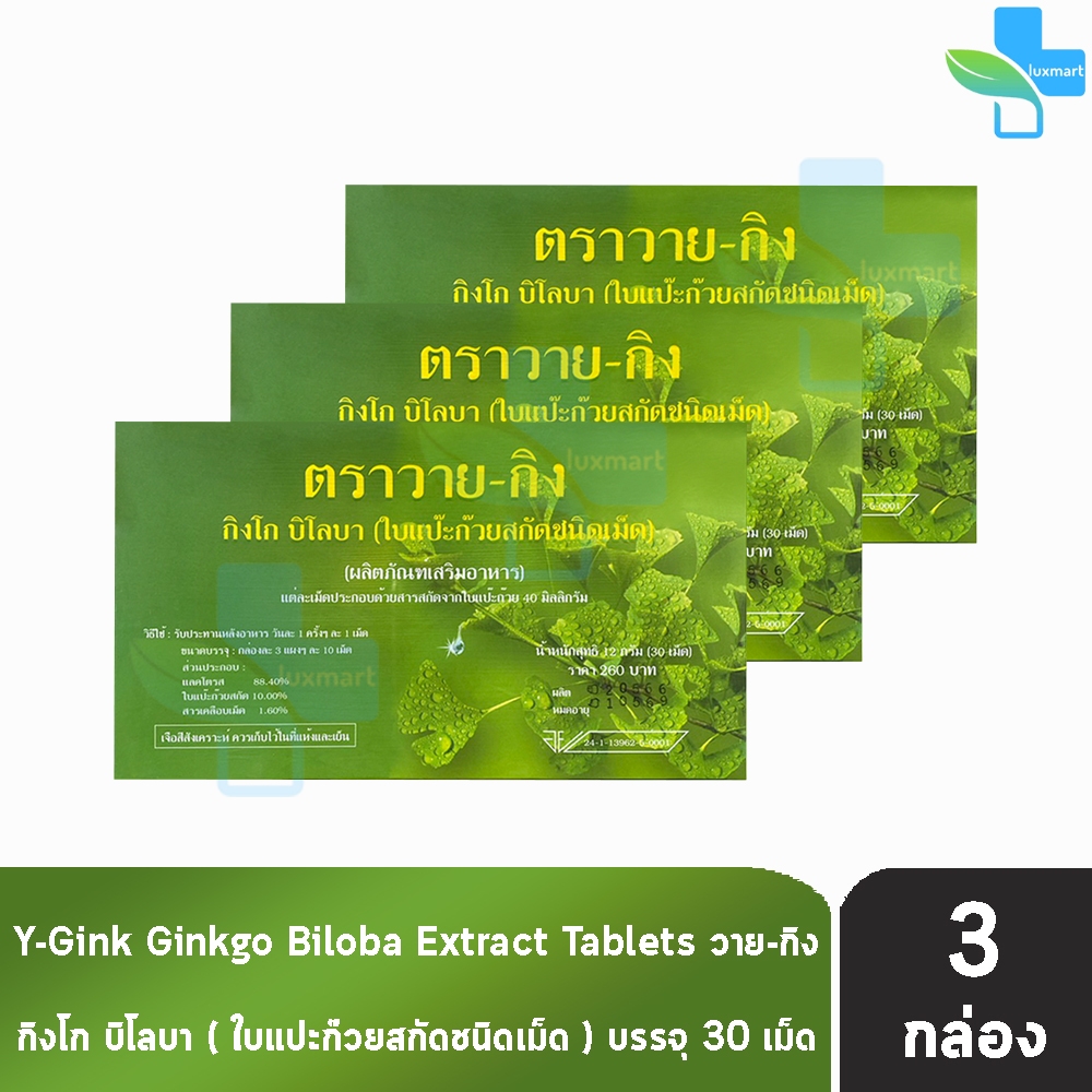 Y-Gink Ginkgo Biloba วาย กิง กิงโก บิโลบา ใบแป๊ะก๊วยสกัด 30 เม็ด [3 กล่อง] G0042 เสริมสร้างความจำ