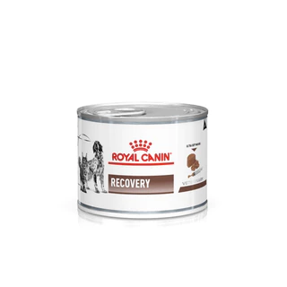 (( 1 กป.)) Royal canin Recovery 195 g. สำหรับ สุนัขแมว สัตว์ป่วยพักฟื้น exp 04/27