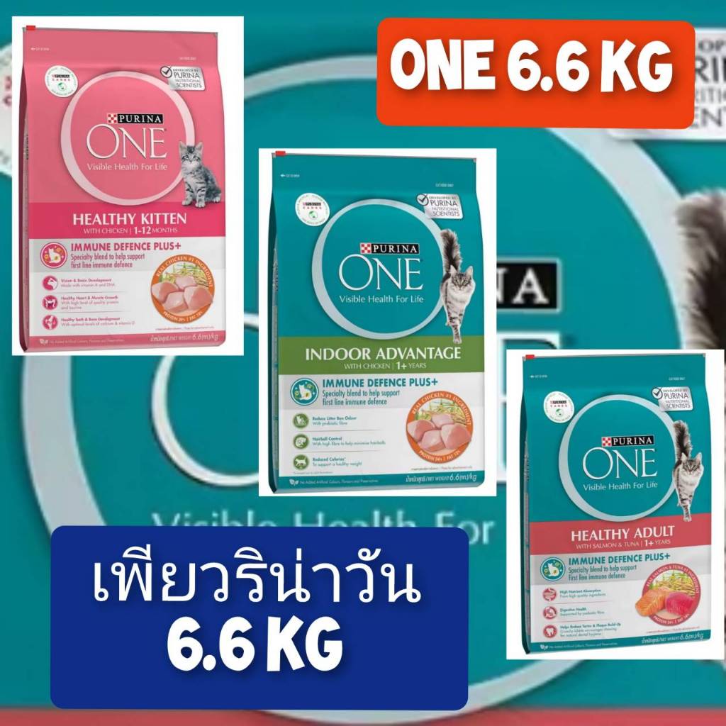 ​เพียวริน่า​วัน​ 6.6 ก.ก. จำนวน 1 กระสอบ​
