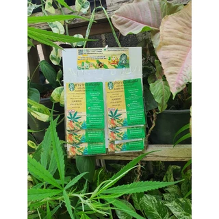 ใบกัญชง ชากัญชง100% แผงละ 6 ซอง ตราเนื้อหอม มีอย. Hemp Tea Organic100%