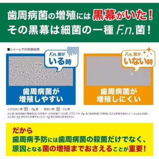 GUM Plus Dental Rinse น้ำยาบ้วนปาก ขายดีของญี่ปุ่น 🇯🇵 Koneko