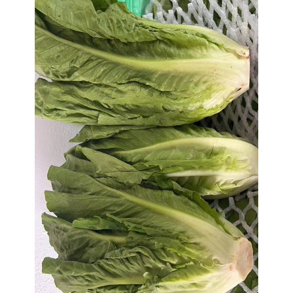 ผักสลัดคอส โลละ 82 บาท