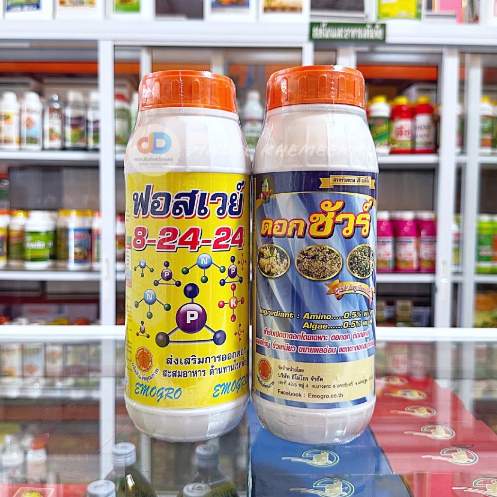 (ชุด 2 ขวด) ปุ๋ยน้ำ 8-24-24 ขนาด 1 ลิตร ส่งเสริมการออกดอก+ดอกชัวร์ เบสฟอร์+ดอกชัวร์