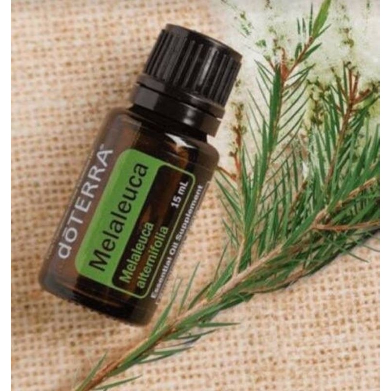Tea Tree oil (Melaleuca) ขนาด15 ml