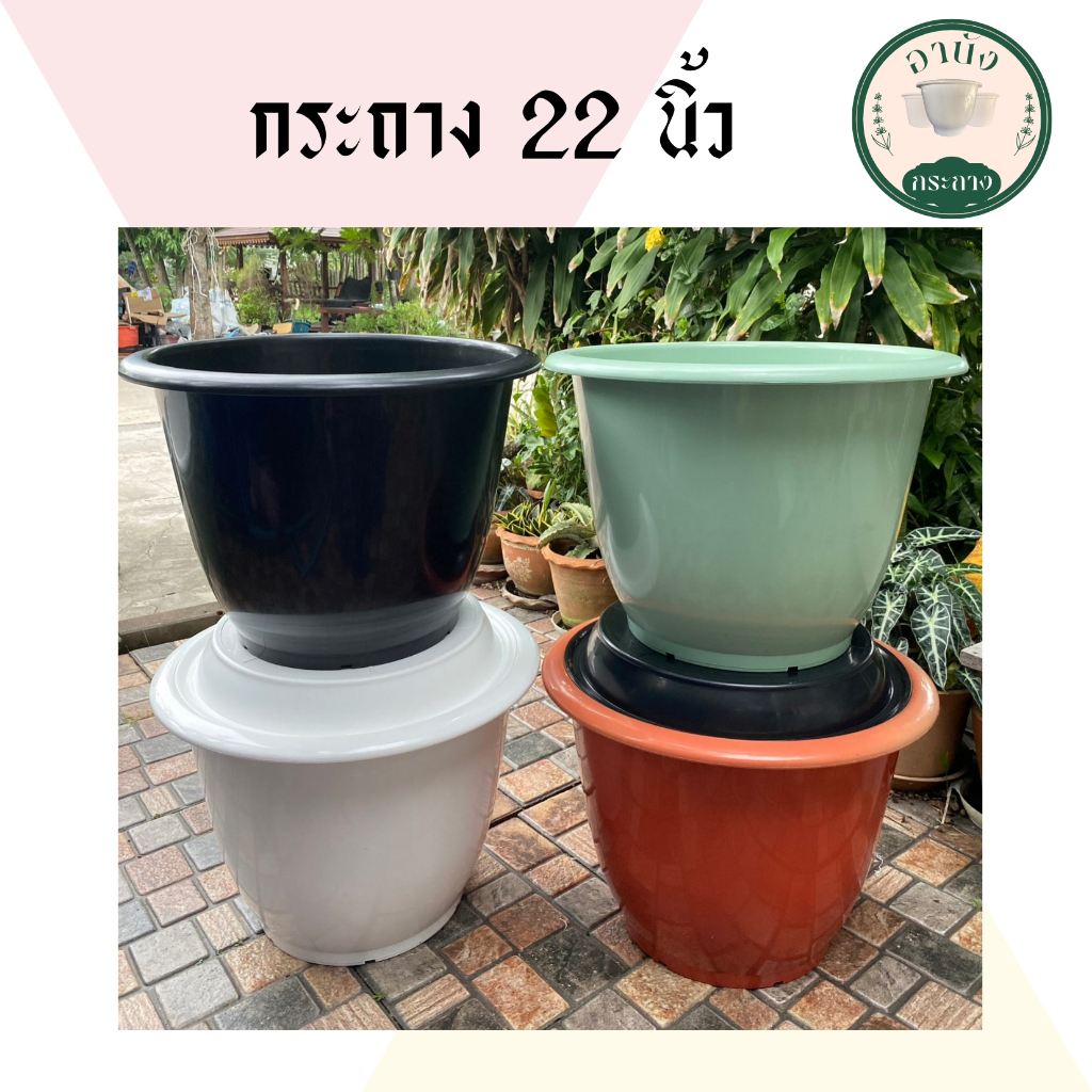 กระถาง 22 นิ้ว กระถางใบใหญ่