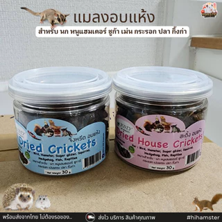 หนอนนกอบแห้ง จิ้งหรีด สะดิ้ง หนอนไหมอบแห้ง ผักผลไม้อบแห้ง สำหรับหนูแฮมสเตอร์ เม่นแคระ