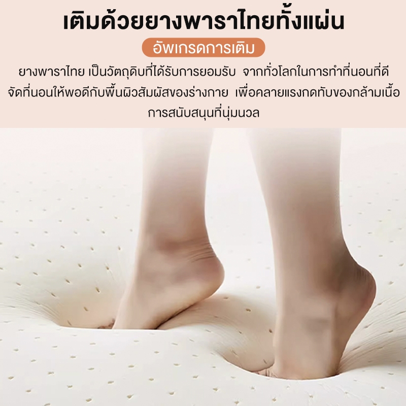 Sunfay ที่นอนยางพารา