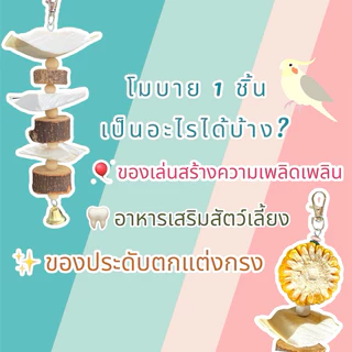 ของเล่นนก โมบายกระดองหมึก เสริมแคลเซียม สินค้าไทย (organic cuttlebone hanging) bird toys