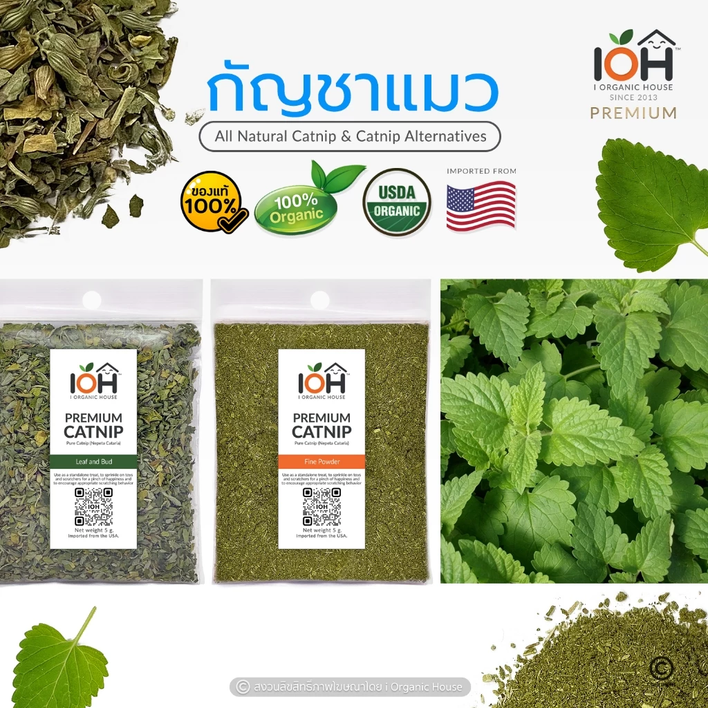 IOH Premium CATNIP from USA - แคทนิปผง สายพันธุ์ Nepeta Cataria สมุนไพรสำหรับแมว ขนาด 5 g