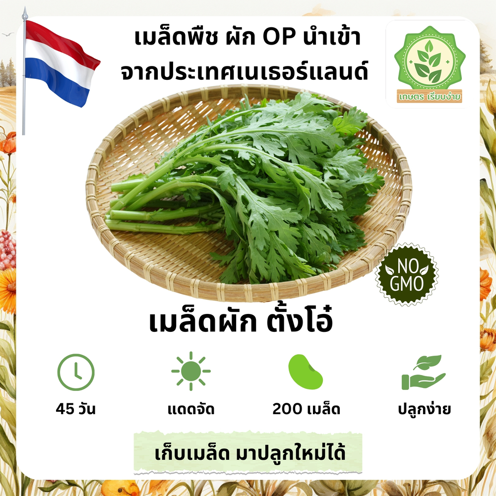 เมล็ดพันธุ์สลัดรวมผักต่างๆ ตั่งโอ๋ ตั้งโอ๋เมล็ดนอกนำเข้าต่างๆ พันธุ์ OP บรรจุ 40-200 เมล็ด