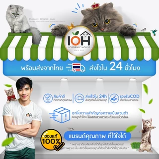 IOH Matatabi Sticks ไม้มาทาทาบิ แคทนิปญี่ปุ่น ช่วยขัดฟันและลดความเคลียดสำหรับแมว Size S