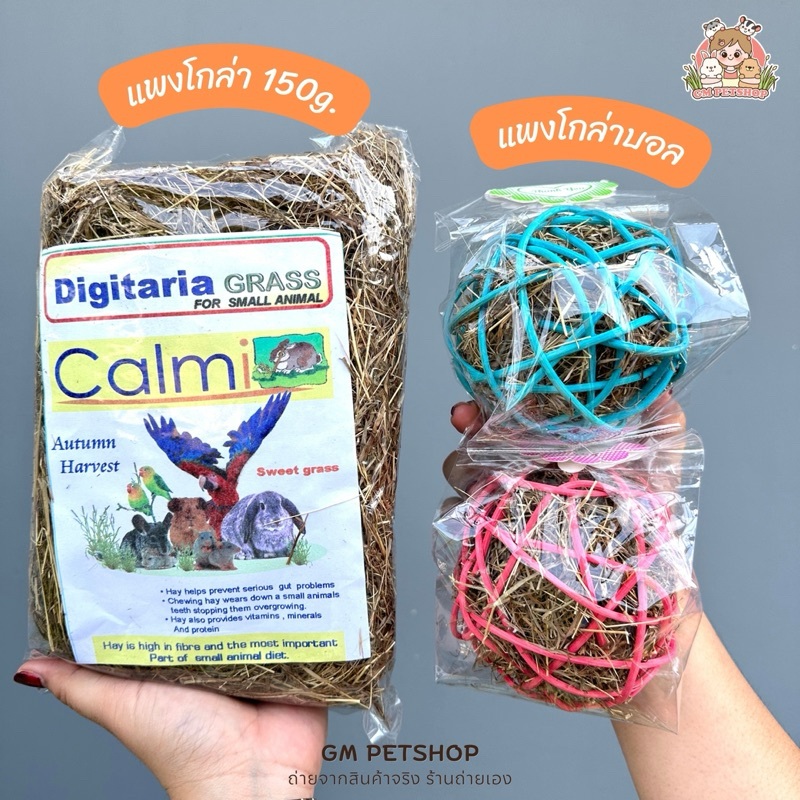 GM Petshop หญ้าแพงโกล่า 150g. / แพงโกล่าบอล ของใหม่