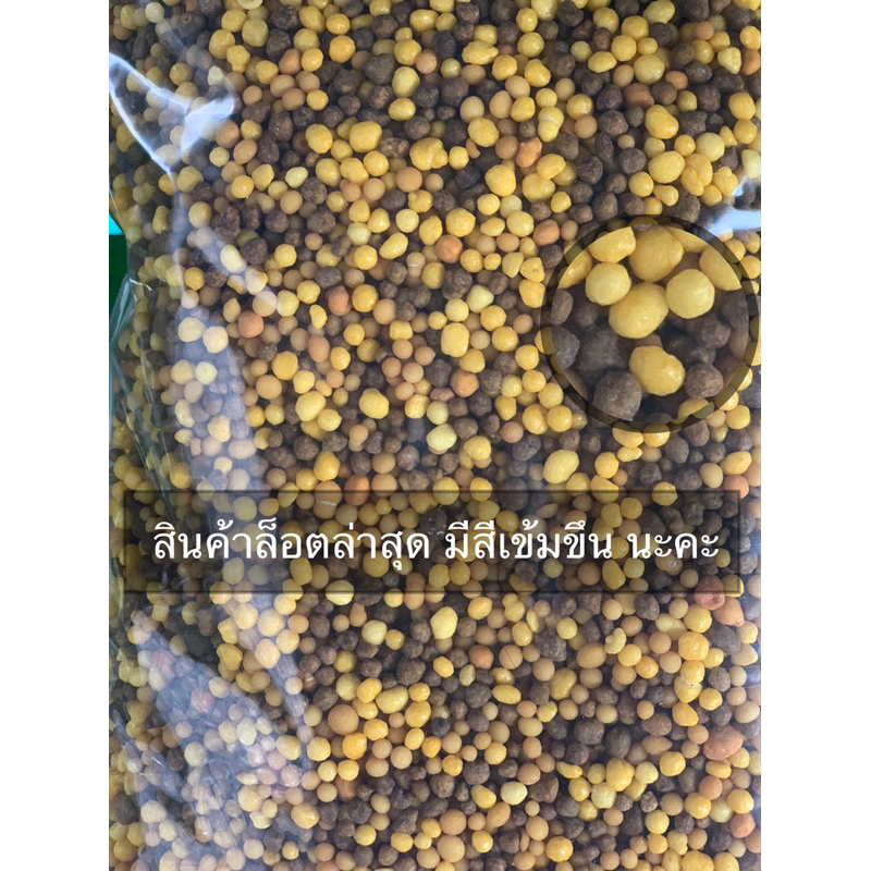 รูปภาพ 3