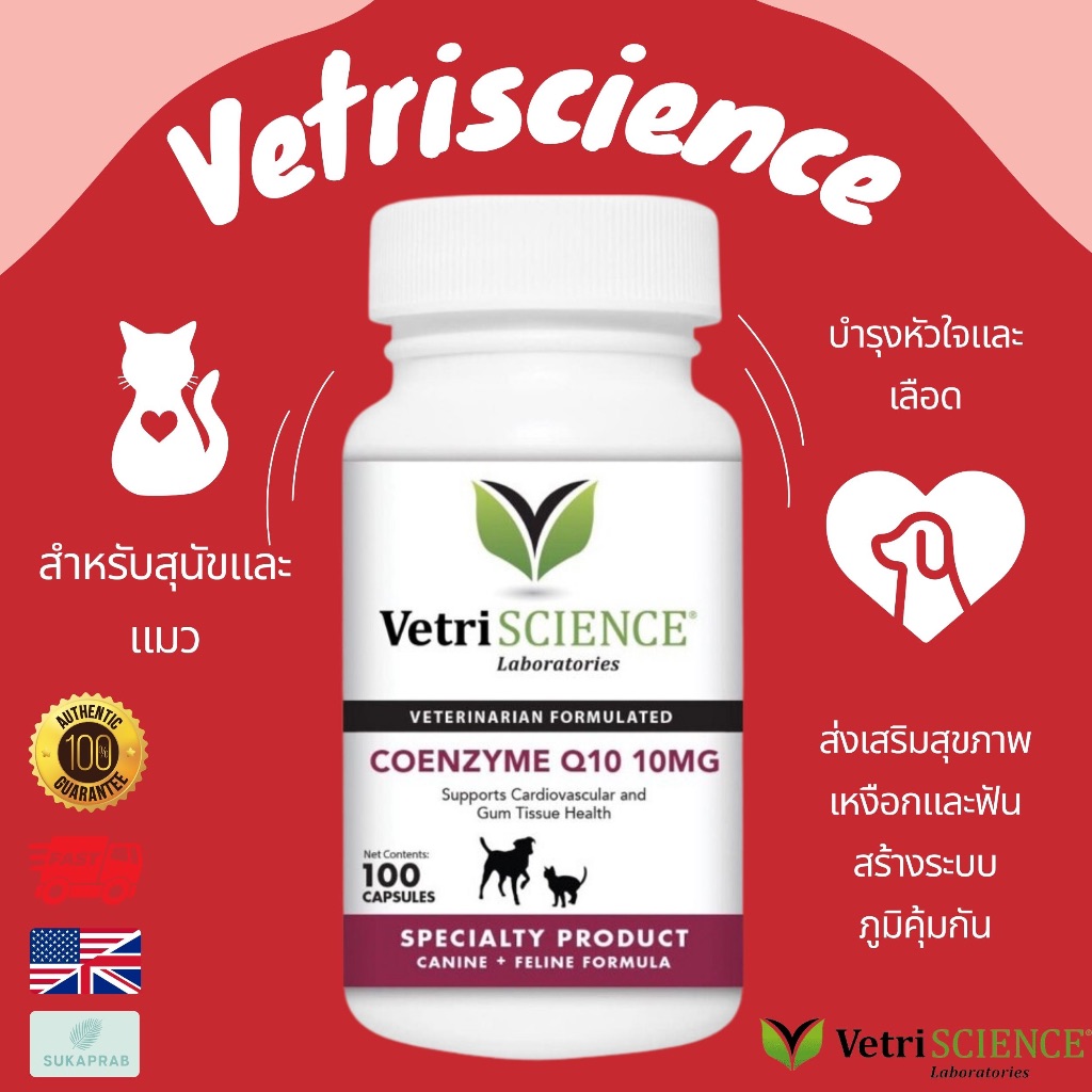 พร้อมส่ง VetriScience Laboratories - Coenzyme Q10 10mg, 100 แคปซูล สำหรับสุนัขและแมว นำเข้าจากอเมริกา