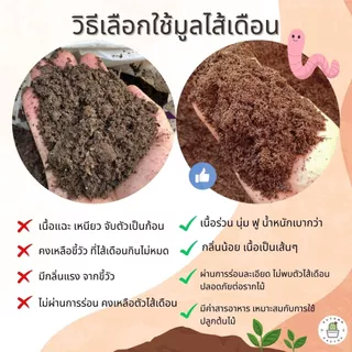 🐛มูลไส้เดือน จากธรรมชาติ แท้ 100% แร่ธาตุสูง แก้ปัญหาดินเค็ม ปรับสมดุลในดิน เนื้อมูลไส้เดือนร่วน ไม่จับตัวเป็นก้อน 1kg🐛