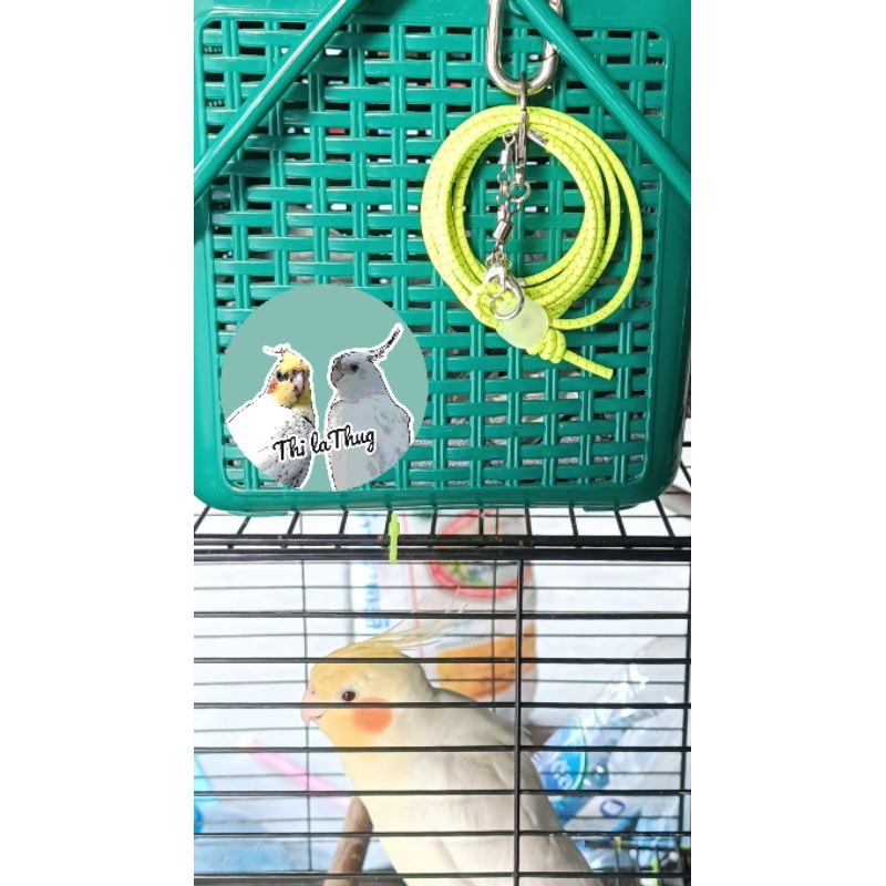 สายจูงนกเชือกแบบยืดยุ่น, สายคล้องนกเชือกแบบยืดยุ่น