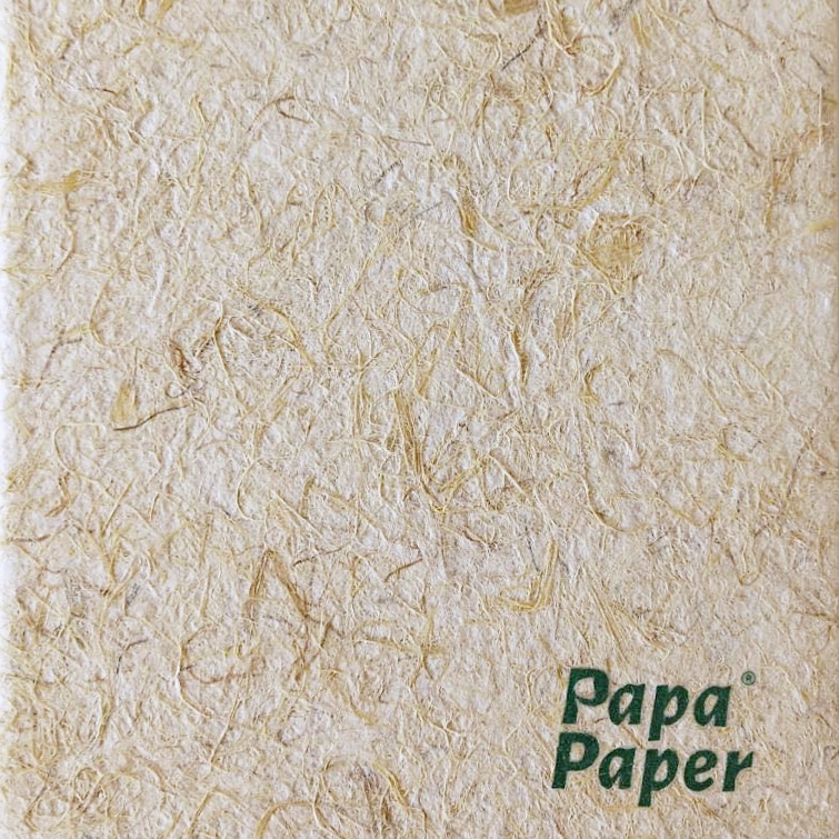 กระดาษเยื่อข้าวโพด PAPA PAPER ลดการเผาเปลือกข้าวโพด