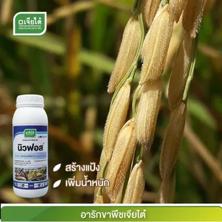 นิวฟอส กรดฟอสโฟนิก ขนาด1 ลิตร ยาเชื้อราป้องกันโรคผลเน่า