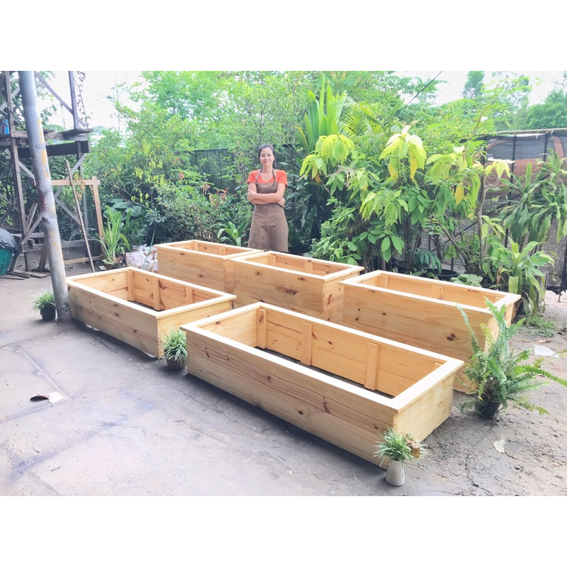 กระบะปลูกผัก กระบะปลูกดอกไม้ ชุดปลูกผัก planter box  กระบะปลูกพืช กระถางปลูก