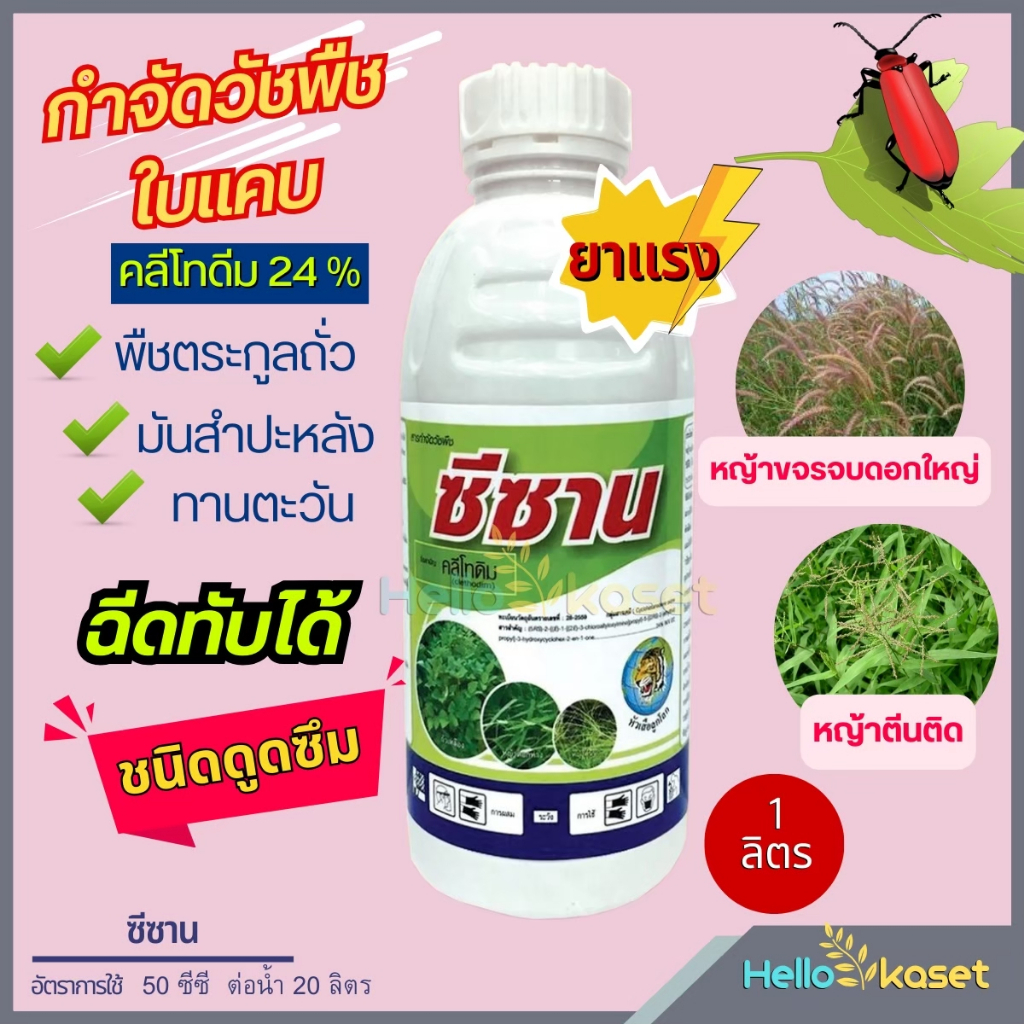สารกำจัดหญ้า ซีซาน ขนาด 1 ลิตร เป็นสารกำจัดวัชพืชประเภทหญ้า ใบแคบ ฉีดทับมันสำปะหลังได้ ชนิดดูดซึม