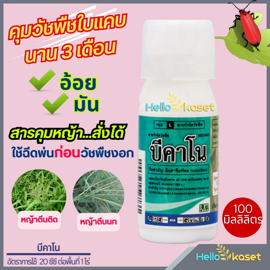 สารคุมหญ้า บีคาโน อินดาซิแฟลม ควบคุมวัชพืชใบแคบ คุมวัชพืช ฉีดก่อนวัชพืชงอก ขนาด 100 ml.