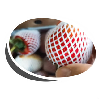 โฟมตาข่ายห่อสตรอว์เบอร์รี่/มะยงชิด ขนาด10cm. จำนวน 100 ชิ้น