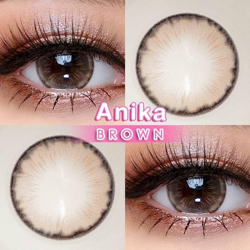 Anika brown รุ่นน้ำตาลกลางตาหวาน สวยฉ่ำหวานไม่โตมาก Winklens