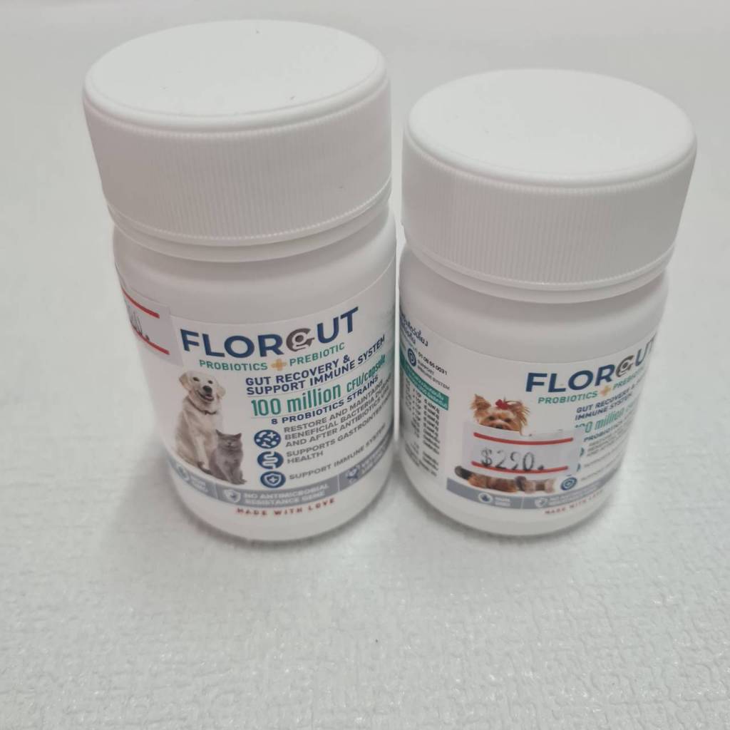 Florgut บรรจุ 30 แคปซูล อาหารเสริมพรีไบโอติกและโพรไบโอติก ปรับสมดุลลำไส้ ลดปัญหาท้องเสีย สำหรับในสุนัขและแมว