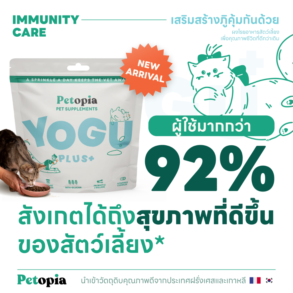 Yoguplus วิตามินเพิ่มภูมิสัตว์เลี้ยง Lysine Beta-glucan Probiotics Vitamin B by Petopia yogu plus