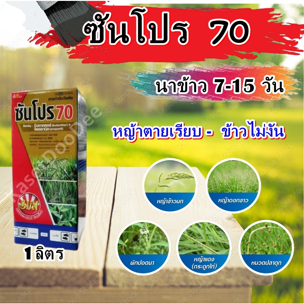 ซันโปร70 ขนาด 1 ลิตร  (บิวทาคลอ+โพรพานิล)เนื้อพรีเมียม คุม-ฆ่า วัชพืชในนาข้าวหว่านน้ำตม 7-15 วัน