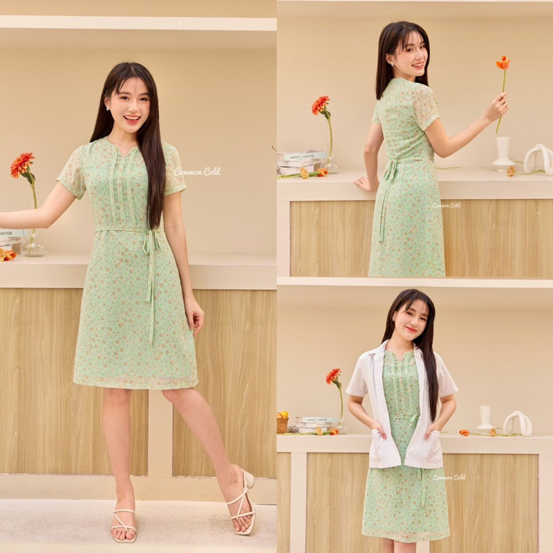 Common Cold Dress Switzerland Collection