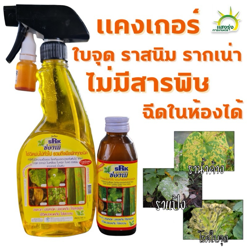 ช่องาม กำจัดเชื้อรา และแบคทีเรีย ปลอดภัย (organic 100%) ไร้สารตกค้าง แก้โรค ใบจุด ราสนิม แคงเกอร์ รากเน่า