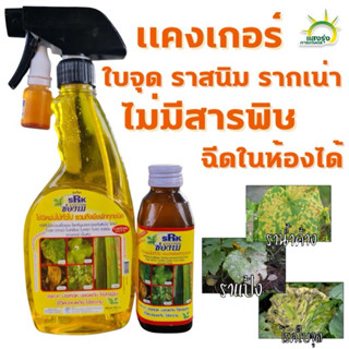 ช่องาม กำจัดเชื้อรา และแบคทีเรีย ปลอดภัย (organic 100%) ไร้ส…