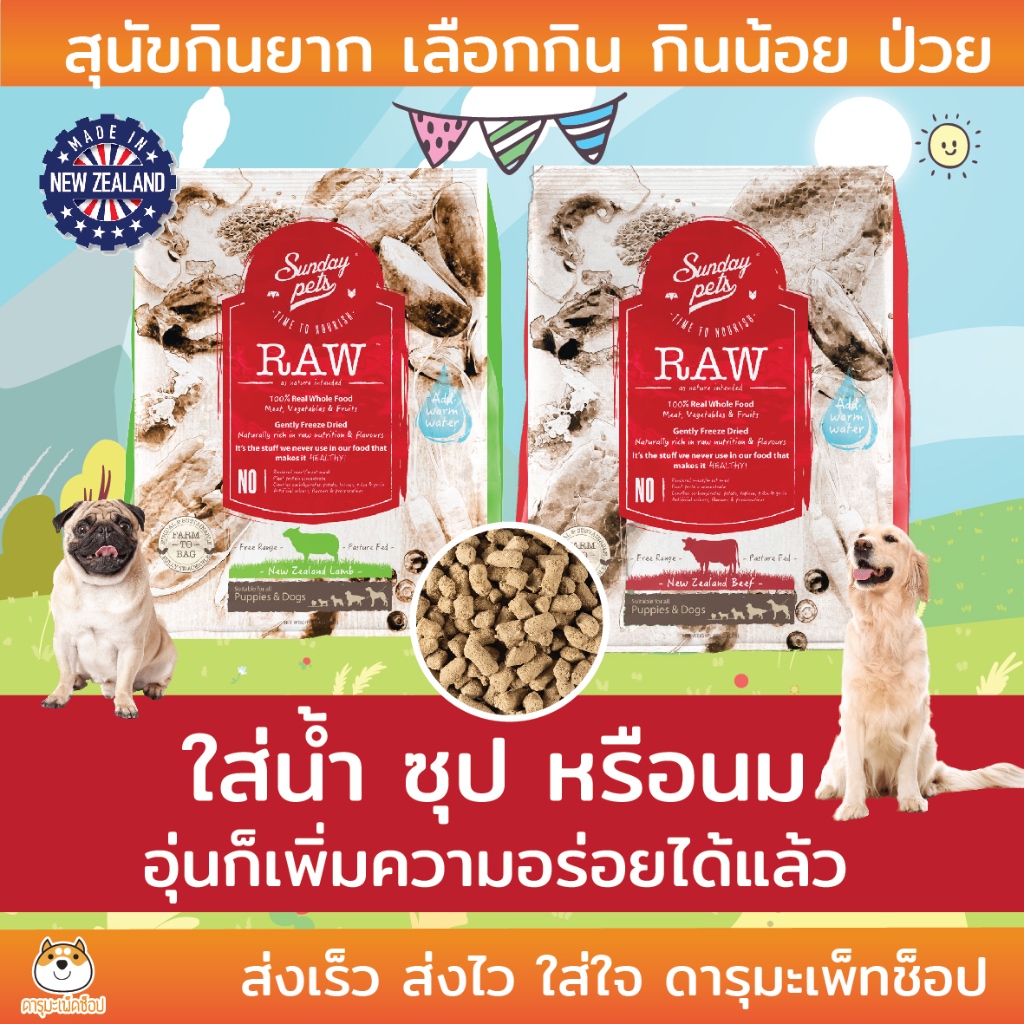 กินง่าย อาหารสุนัขกินยาก แบบใหม่ ใส่น้ำอุ่น อร่อย หอมมาก 454 g Sunday Pets Raw เนื้อวัว และแกะ