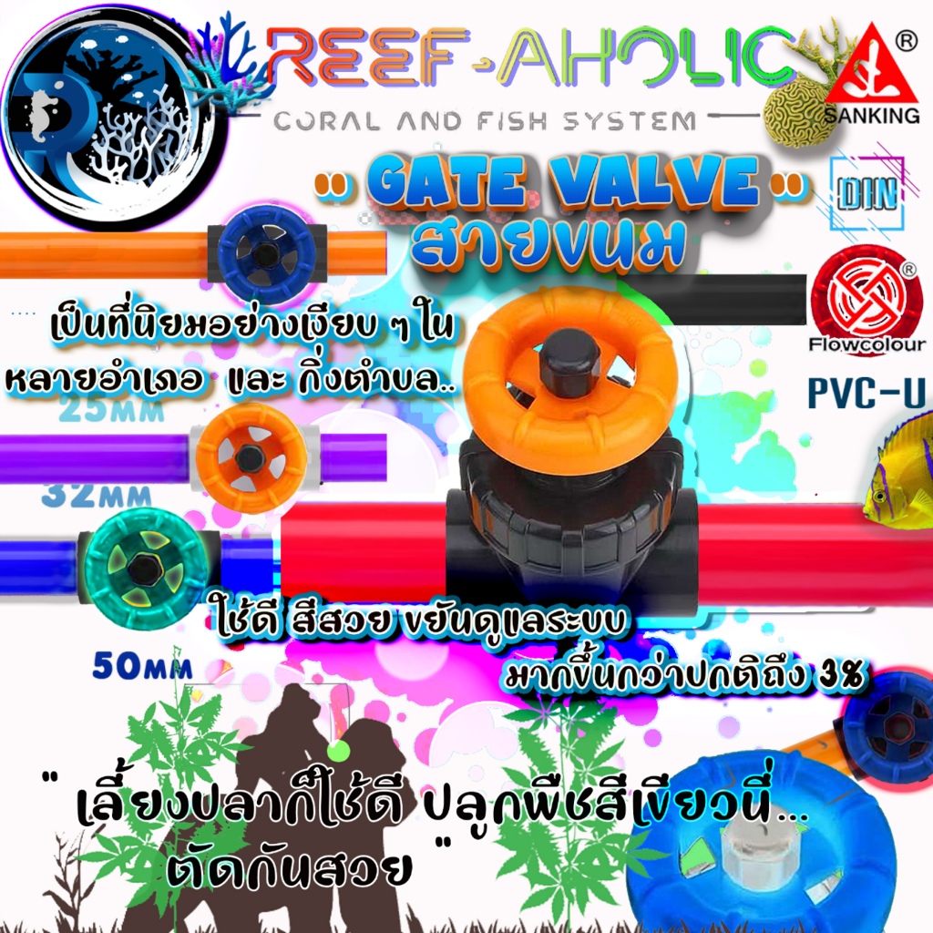 Reef-ahollic Gate Valve UPVC  พร้อมแต่งสีพวงมาลัย อยากให้งานท่อสีสดใส จัดไปสวย เฉียบ