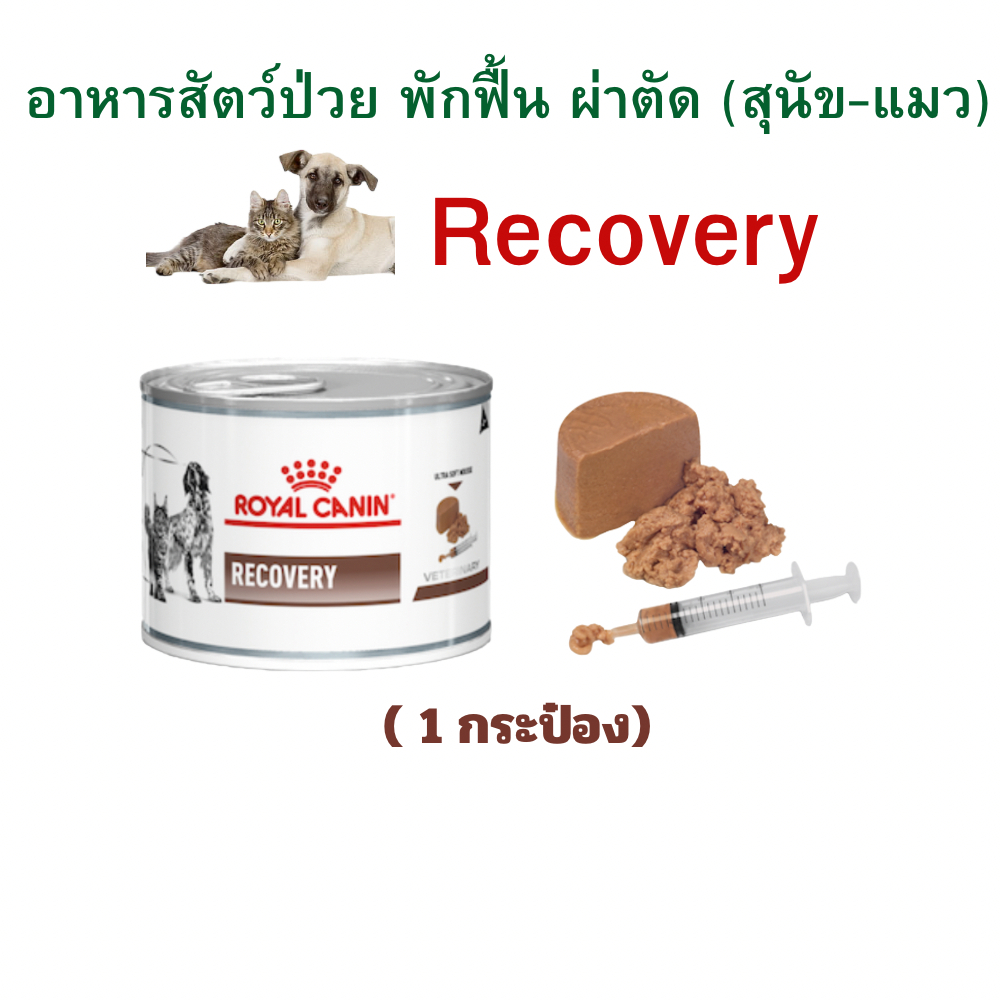 (หมดอายุ : 27/09/2027) Royal Canin อาหารสัตว์พักฟื้น Recovery (แมว) 3-4 กระป๋อง