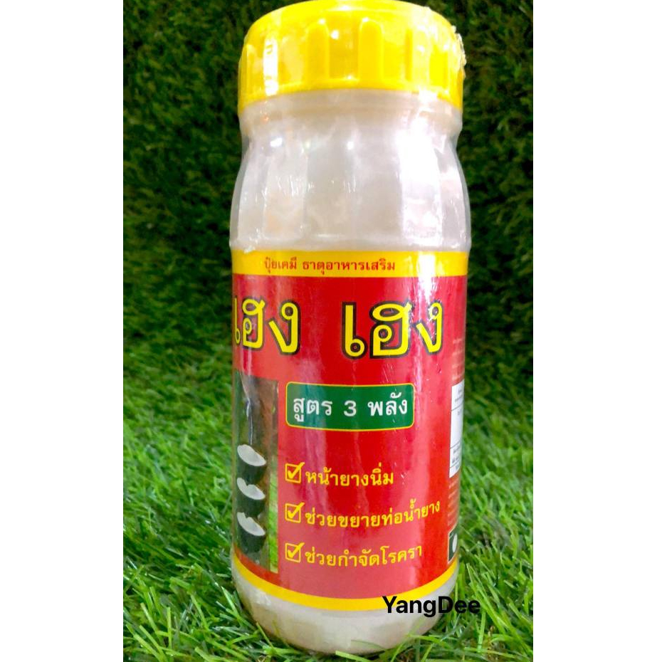 ยาทาหน้ายาง ฮอร์โมนยาง(น้ำใส) เฮงเฮง 500 ml สารบำรุงหน้ายาง รักษาหน้ายางพารา ขยายท่อน้ำยาง หน้านิ่มกรีดง่าย