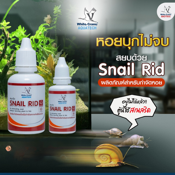 Snail Rid ผลิตภัณฑ์สำหรับกำจัดหอยในตู้ปลา บ่อปลา อ่างบัว และบ่อน้ำ ขนาด 30 ซีซี