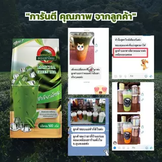 ชาเขียว กลิ่นมัทฉะ ดอยชาไทย Matcha green tea //Green tea with Matcha flavor