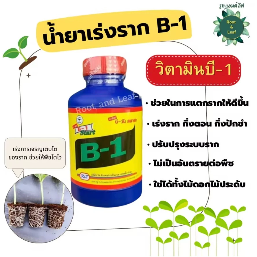น้ำจาเร่งราก B-1 บีสตาร์ท มีวิตามินบี-1 ช่วยเร่งราก เร่งการเจริญเติบโตของพืช มึ หลายขนาด 100 cc. 500cc และ 1 ลิตร