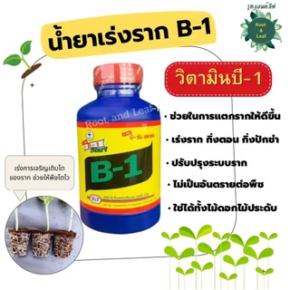 น้ำจาเร่งราก B-1 บีสตาร์ท มีวิตามินบี-1 ช่วยเร่งราก เร่งการเจริญเติบโตของพืช มึ หลายขนาด 100 cc. 500cc และ 1 ลิตร